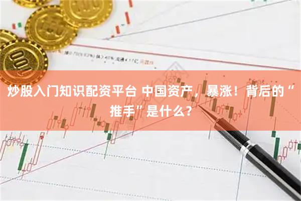 炒股入门知识配资平台 中国资产，暴涨！背后的“推手”是什么？