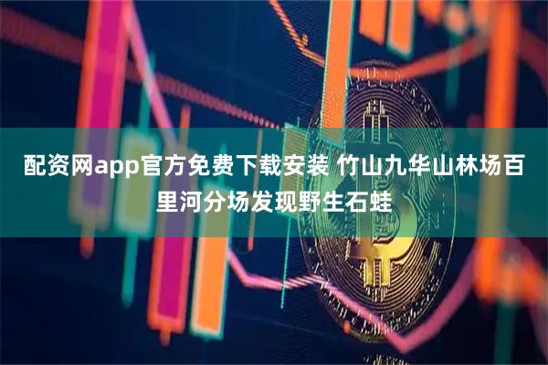 配资网app官方免费下载安装 竹山九华山林场百里河分场发现野生石蛙